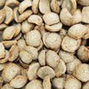 BugsDog Original 1.2kg + Samples (30g x 2) Gift /