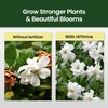 Gardenia Fertilizer for Vibrant Growth & Fragrant, Beautiful Blooms, 32oz