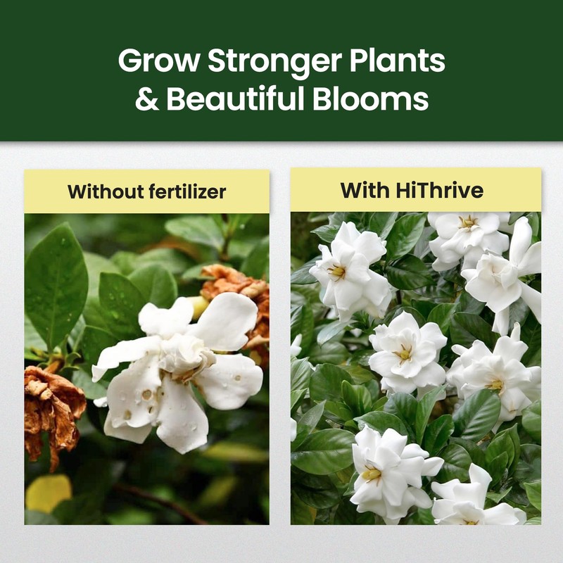 Gardenia Fertilizer for Vibrant Growth & Fragrant, Beautiful Blooms, 32oz