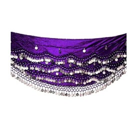 Dancers World Belly Dance Hip Belt Scarves Dancing Costume Coin Hip Scarves Belts FITS Medium Large (Purple Silver), M/L - UK 14 - 16/18 (VSB012)