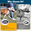 No Pull Martingale Collar for Medium Large Dogs Precision Fit