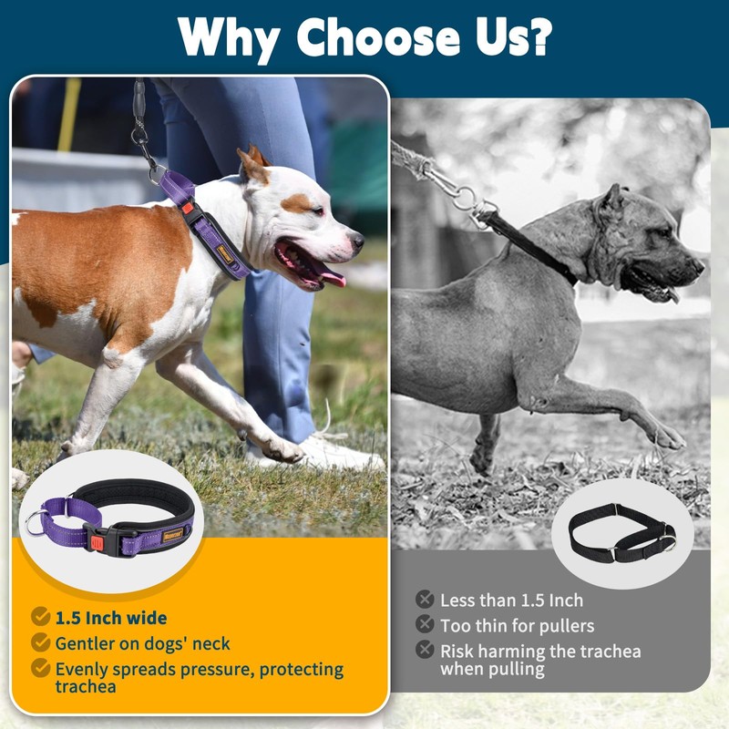 No Pull Martingale Collar for Medium Large Dogs Precision Fit