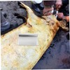 Kisangel 2Pcs Pig Hair Remover Stainless Steel Scraper Kitchen Meat