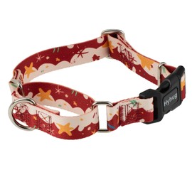 Hyhug Martingale Dog Collar With Buckle: Escape-Proof, No Slip Heavy Duty Nylon, Colorfast Adjustable Pet Supplies for Large Breeds(Christmas Ice Cream, EXtra Large)