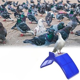 Plastic Pigeon Perch Stand – Bird Cage Accessories for Parrots, Doves, Pigeons – Wall-Mounted Rest Platform for Pet Birds – Durable Cage Perch for Indoor or Outdoor Use