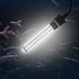 XINHAOHANG Led Fishing Light,Ice or Night Fishing,Battery Clip 12V 6.5W 800LM IP68 5M,Underwater Submersible Lure Lamp,Attractants for Squid,Crappie,for Dock,Fresh & Salt Water(White)