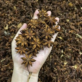 Vietnamese Dried Whole Star Anise 100g - Premium Illicium Verum, Organic, Aromatic Spice for Cooking, Tea, Baking
