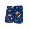 CULEO Boys' Swim Trunks,Boys‘ swimming trunksChildren's swimsuitsCartoon swimming trunksBoys’ spa