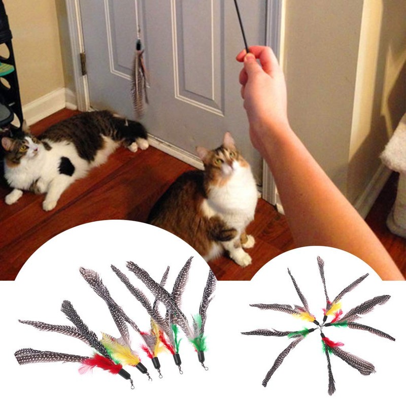 5PCS Handmade Natural Feather Cat Toy Da Bird Refills Interactive
