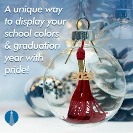 Tassel Depot Clear Plastic Round Heavy Duty Fillable Ornaments, 100 mm - 2 Pack