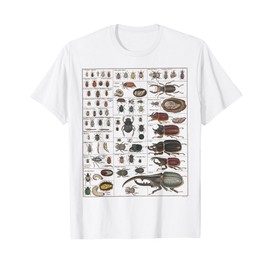 Insect Collection Species Bugs Vintage Chart Entomology T-Shirt