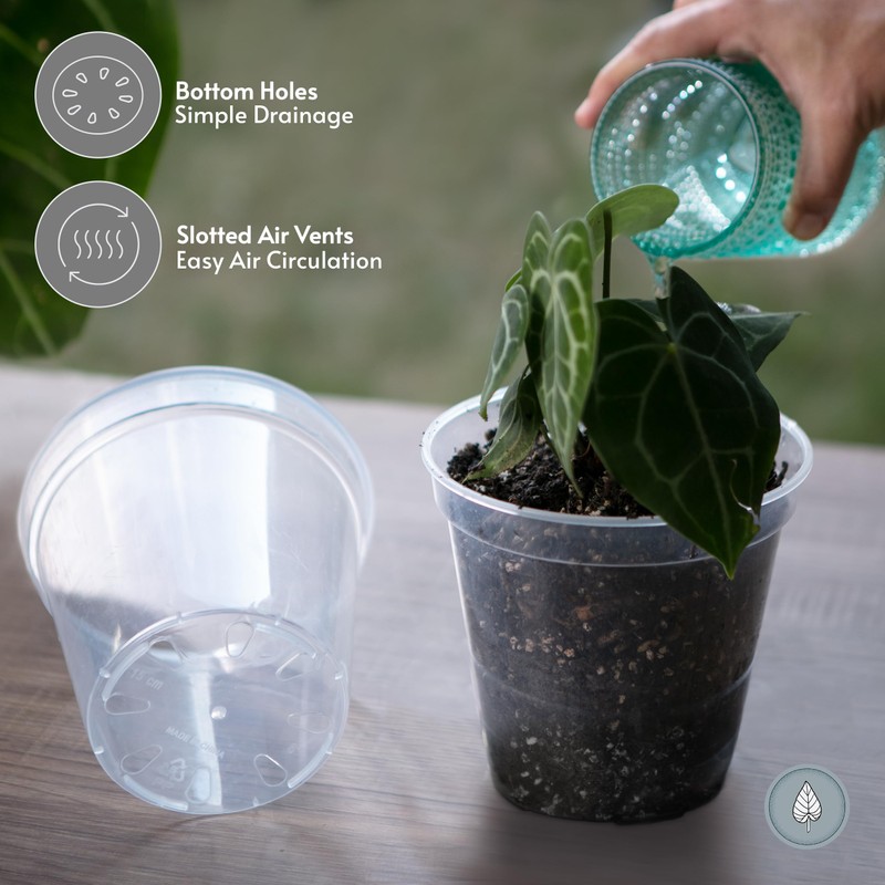 karenplantsplants™ 9" Clear Plastic Nursery Pot (Clear - 5 Pack)