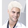 White Wig Men's Short Hair Wigs Synthetic Layered Fluffy Daily