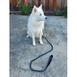 Blazing Paws Vibrania 6 Ft Super Soft Braided Leather Dog Leash, Heavy Duty with Side Ring, Full Braided in Teal Green Blue Distressed Leather (6 Ft L x 3/4" W, Blue Mix)