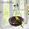 Rattan Birds Parrot Straw Nest Swing Hanging Toy with Bells