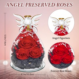 HXYALWAOHK Gifts for Women Preserved Rose Forever Flower in Glass Angel Figurines Fresh Flowers for Delivery Prime Mothers Day Birthday Gifts for Mom Real Roses for Grandma Sister Wife (Red Rose)