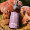 Extracto Hongo Reishi Ultra Concentrado 30ml