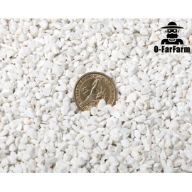 O-FarFarm Chunky Perlite Bulk, Horticultural Pearlite Coarse Perlite for Plants Indoor, Additive Conditioner Mix, Improve Drainage and Ventilation, Help Root Growth (4-8mm, 1qt)