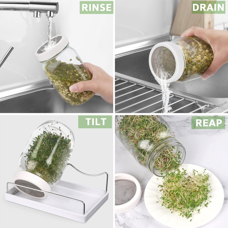 Complete Sprouting Jar Kit| 2 Wide Mouth Mason Jars, 316