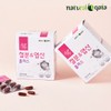 철분 엽산 임산부 수유부 청소년 철분제 60캡슐 2개월 Iron Folic