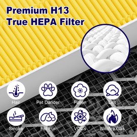 116130 Pet Care Filter Replacement Filter H for Winix 5500-2 AM80 Plasmawave Air Purifier, True HEPA Filter and Activated Carbon Filter Combo Pack, 2 Set