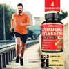 Satoomi Pure Gymnema Sylvestre Capsules Extract - 90 Capsules for