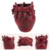 JANKOW Small Human Heart Shape Pencil Holder Real Human Heart