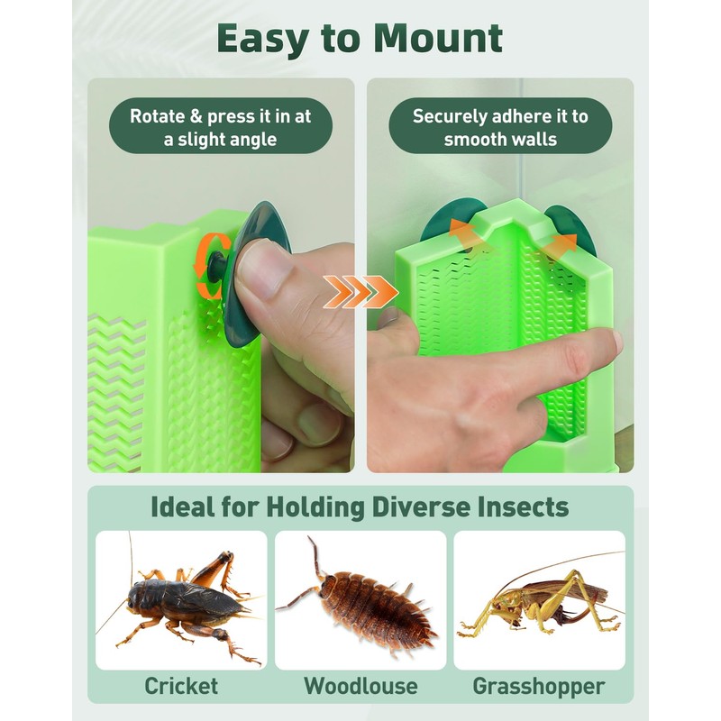 Pawfly Bearded Dragon Feeder - Escape-Proof Corner Reptile Food Box,