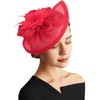 DRESHOW Fascinator Hats for Women Pillbox Hat with Veil Headband