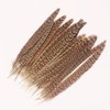 12pcs Natural Pheasant Feathers 4 Style 20-25cm Natural Feathers for