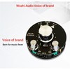 2.1 Channel Power Amplifier Board Stereo Treble Bass Adjustment Bluetooth