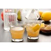 Kyushu Ginger Ginger, 4.2 oz (120 g), Ginger Powder, Made