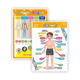 Laminated My Body Interactive Educational Poster Set for Kids (2-Pack) Charts Learn Body Parts & Organs Waterproof Wall Posters for Toddlers, Preschool, Classroom, Home