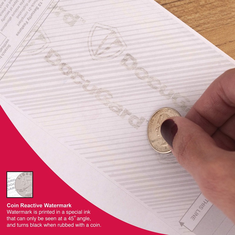 DocuGard Standard Blue Marble Bottom Check, 24 lb, 8.5 x