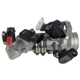 RedCap Complete Fuel Injection Throttle Body Manifold For EFI GY6 168cc 170cc 200cc Jonway GTX 250 EFI 200 Scooter Moped Engines Includes all Sensors