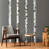 Large Birch Tree Wall Decal Nature Tree Wall Stickers Peel