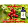 Organic Herbal Remedies Hawthorn Tincture, 100 ml