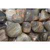 Black Moonstone Tumbled - Healing Stone - 20-25mm (5)