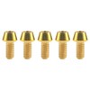 Ruifu M4 x8 15 20mm Titanium Alloy Hex Socket Head