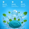 Vivel Cool Mint, Soft Fresh Skin Soap 150g (Pack of