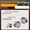 PANGOLIN 3PCS Engine Motor Mount Left Right & Trans Mount