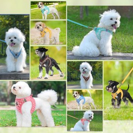 Savlot Dog Harness for Small and Medium Dogs, Anti Pull Puppy Harness with Leash, Step-In Harness for Small Dogs