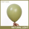 PartyWoo Sage Green Balloons 120 pcs Olive Balloons Different Sizes