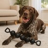 Calmr Dog Vigor Interactive Dog Toy – Weighted & Flexible