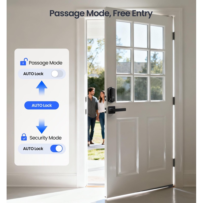 Veise VE017-B Fingerprint Smart Lock with 2 Lever Handles Set,