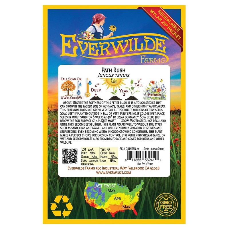 Everwilde Farms - 2000 Path Rush Native Grass Seeds -