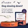 Collagen for Dogs | Dog Joint & Mobility Supplement with