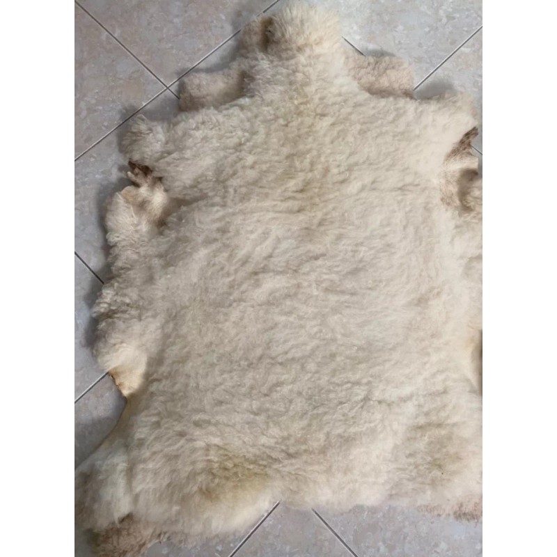 Zalea De Borrego, Piel De Borrego, Muy Pachona Y Limpia