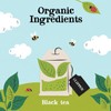 Clipper Organic Everyday 80 Tea Bags | Unbleached, Plastic Free,