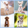 SlowTon Puppy Harness and Leash Set - No Pull Soft